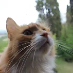 Badia Il Vingone Venkovský dům *
