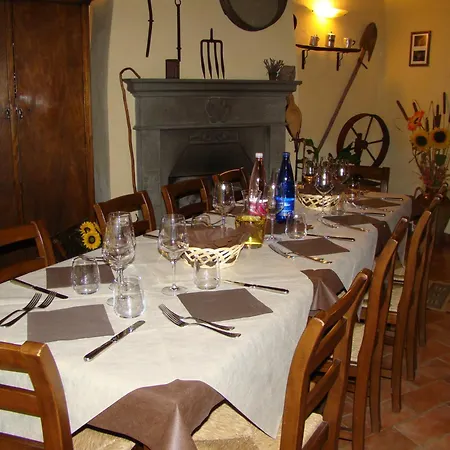 Badia Il Vingone